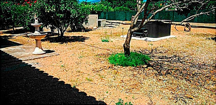 jardín de áridos en Mallorca | empresa de jardinería