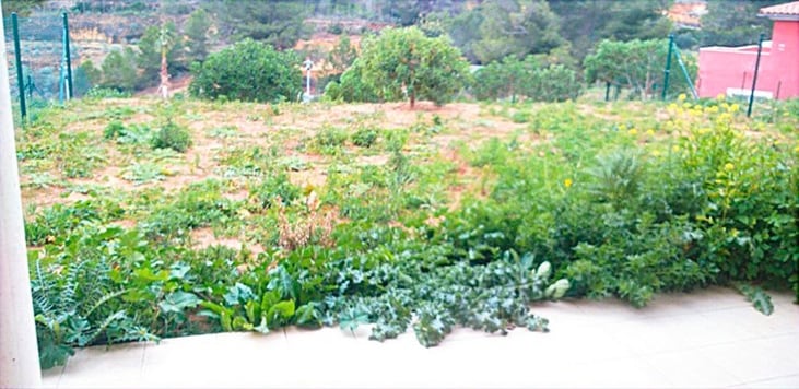 jardín comunidad vecinos | empresa de jardinería