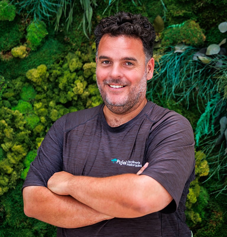 empresa de jardinería | empresa de jardinería