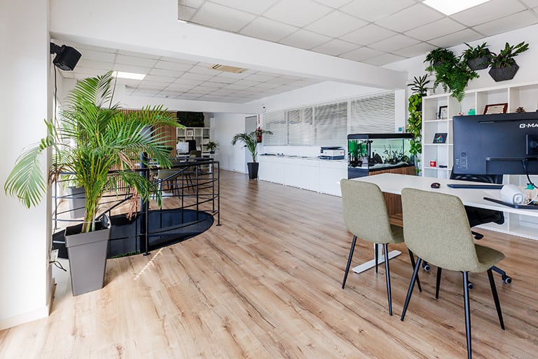 empresa de jardinería | empresa de jardinería