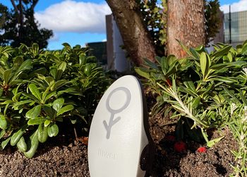 Sensor Fliwer en zona ajardinada con riego por goteo