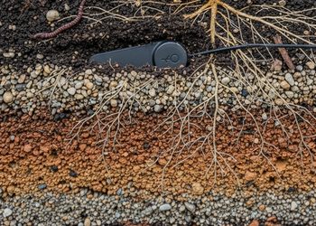 Sensor Fliwer bajo tierra midiendo humedad del suelo
