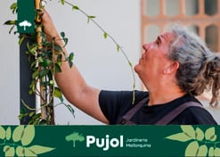 empresa de jardiner&iacute;a | empresa de jardiner&iacute;a