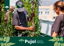empresa de jardiner&iacute;a | empresa de jardiner&iacute;a