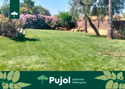 empresa de jardiner&iacute;a | empresa de jardiner&iacute;a