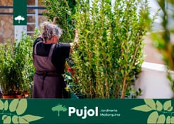 empresa de jardiner&iacute;a | empresa de jardiner&iacute;a