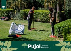 empresa de jardiner&iacute;a | empresa de jardiner&iacute;a
