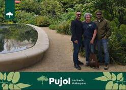 Galer&iacute;a | empresa de jardiner&iacute;a