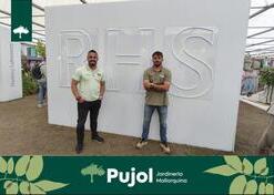 Galer&iacute;a | empresa de jardiner&iacute;a