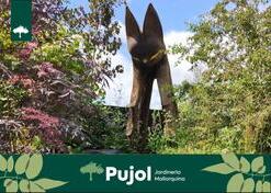 Galer&iacute;a | empresa de jardiner&iacute;a