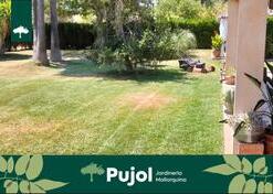 Galer&iacute;a | empresa de jardiner&iacute;a