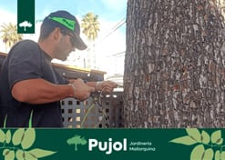 empresa de jardiner&iacute;a | empresa de jardiner&iacute;a