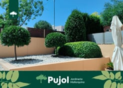 empresa de jardiner&iacute;a | empresa de jardiner&iacute;a