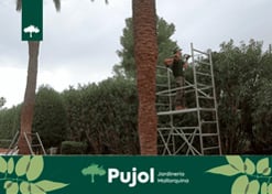 empresa de jardiner&iacute;a | empresa de jardiner&iacute;a
