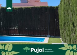 empresa de jardiner&iacute;a | empresa de jardiner&iacute;a