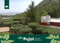 empresa de jardiner&iacute;a | empresa de jardiner&iacute;a