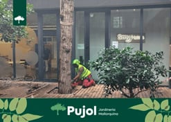 empresa de jardiner&iacute;a | empresa de jardiner&iacute;a