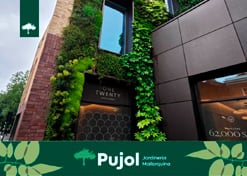 empresa de jardinería | empresa de jardinería