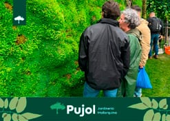 empresa de jardinería | empresa de jardinería