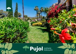 empresa de jardinería | empresa de jardinería