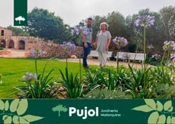 empresa de jardinería | empresa de jardinería