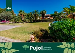 empresa de jardinería | empresa de jardinería