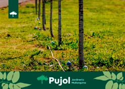 empresa de jardinería | empresa de jardinería