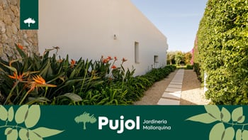 empresa de jardiner&iacute;a | empresa de jardiner&iacute;a