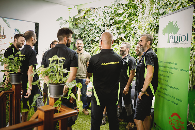 empresa de jardinería | empresa de jardinería