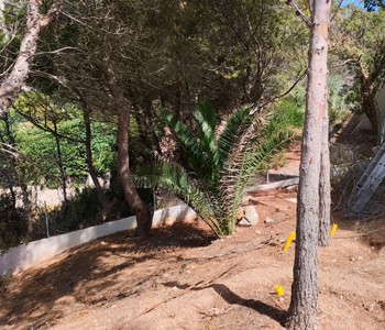 empresa de jardiner&iacute;a | empresa de jardiner&iacute;a