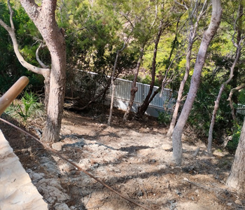 empresa de jardiner&iacute;a | empresa de jardiner&iacute;a