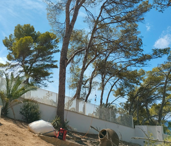 empresa de jardiner&iacute;a | empresa de jardiner&iacute;a