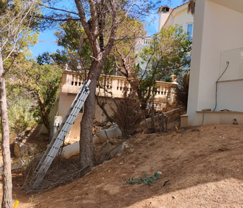 empresa de jardiner&iacute;a | empresa de jardiner&iacute;a