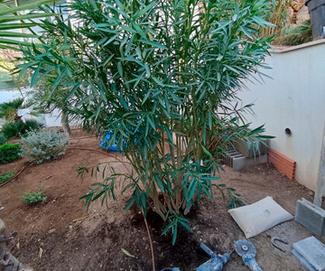 empresa de jardiner&iacute;a | empresa de jardiner&iacute;a