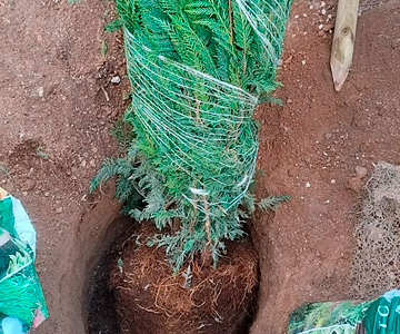 empresa de jardiner&iacute;a | empresa de jardiner&iacute;a