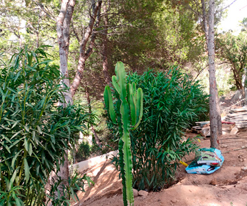empresa de jardiner&iacute;a | empresa de jardiner&iacute;a