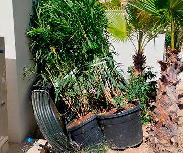 empresa de jardiner&iacute;a | empresa de jardiner&iacute;a
