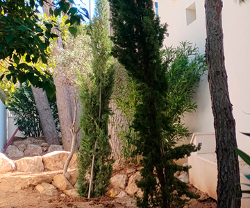 empresa de jardiner&iacute;a | empresa de jardiner&iacute;a