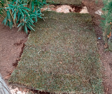 empresa de jardiner&iacute;a | empresa de jardiner&iacute;a