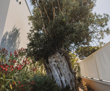 empresa de jardiner&iacute;a | empresa de jardiner&iacute;a
