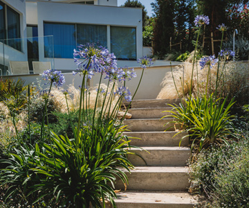 empresa de jardiner&iacute;a | empresa de jardiner&iacute;a