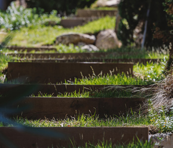 empresa de jardiner&iacute;a | empresa de jardiner&iacute;a