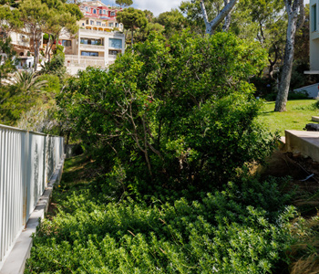 empresa de jardiner&iacute;a | empresa de jardiner&iacute;a