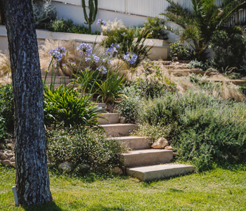 empresa de jardiner&iacute;a | empresa de jardiner&iacute;a