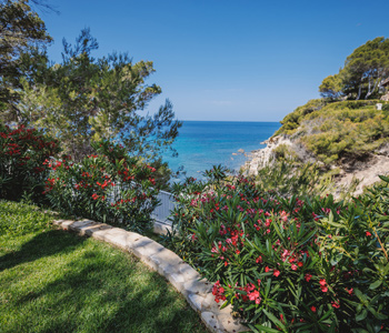 empresa de jardiner&iacute;a | empresa de jardiner&iacute;a