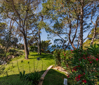empresa de jardiner&iacute;a | empresa de jardiner&iacute;a