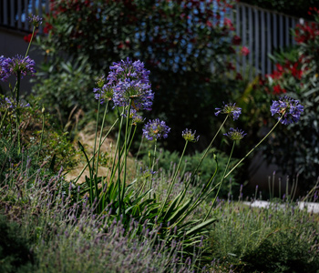 empresa de jardiner&iacute;a | empresa de jardiner&iacute;a