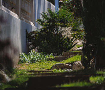 empresa de jardiner&iacute;a | empresa de jardiner&iacute;a