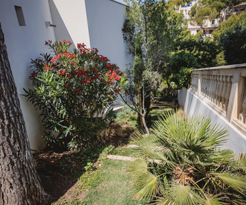 empresa de jardiner&iacute;a | empresa de jardiner&iacute;a