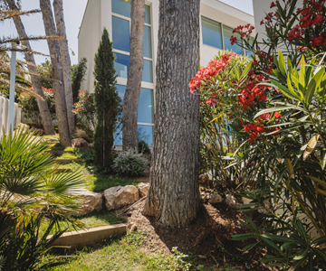 empresa de jardiner&iacute;a | empresa de jardiner&iacute;a